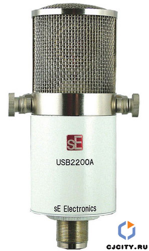 sE Electronics USB2200a