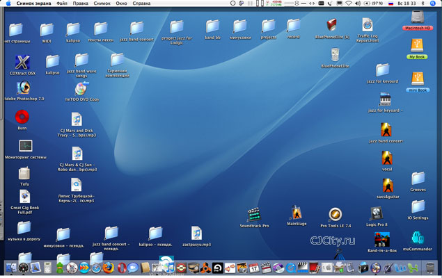 Рис.1. Рабочий стол и внешний вид Mac OS X