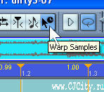 Рисунок 8 - Включение Warp Mode в Steinberg Cubase SX