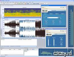 Acon Digital Media Acoustica Premium 4.1