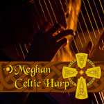 Precisionsound Meghan Celtic Harp