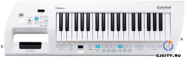 Roland Lucina AX-09