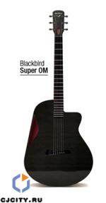 Blackbird Guitars