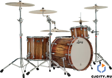 Ludwig Drums Legacy Exotic