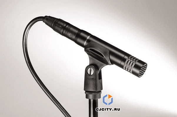 AT2021 Cardioid Condenser Microphone