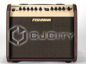   Fishman Loudbox Mini.