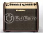   Fishman Loudbox Mini.