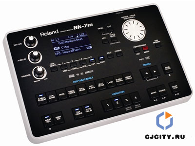   ROLAND BK-7m