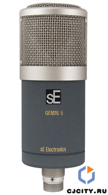   SE Eletronics Gemini 5