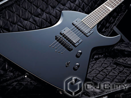 Peavey PXD Void II