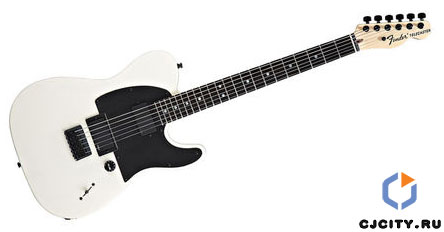 Squier Jim Root Telecaster