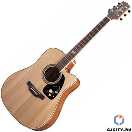 Takamine EG50TH Anniversary