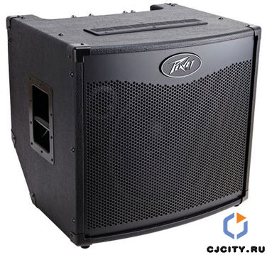 Peavey Tour TKO 115