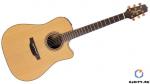  Takamine P3DC