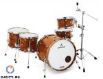 Animal Custom 2012 Series Kit