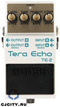  Boss TE-2 Tera Echo