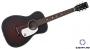 ������������ ������ G9500 Jim Dandy Flat Top