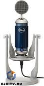 �������� Blue Spark Digital