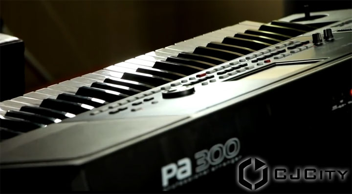 Korg Pa300 Professional Arranger