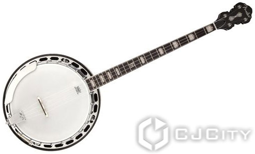 Fender Robert Schmidt Banjo Plectrum