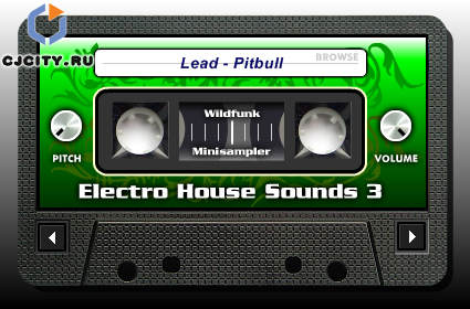 Electro House Sounds 3