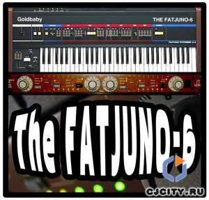 The FatJuno-6