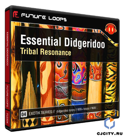 Essential Didgeridoo