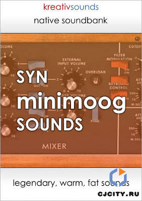 SYN Minimoog V Sounds