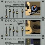 DSK Music Guitars Series