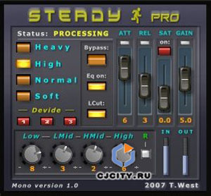  Terry West Steady Pro Bundle