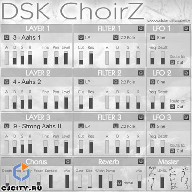  DSK ChoirZ