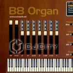 Autodafe B8 Organ