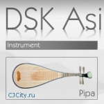 DSK Asian DreamZ