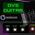 DVS Guitar