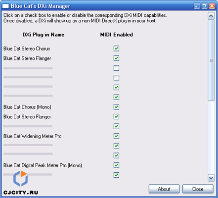  Blue Cat Audio DXi Manager 1.1