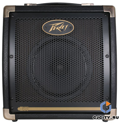 Peavey Ecoustic E20