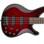 - Yamaha TRBX