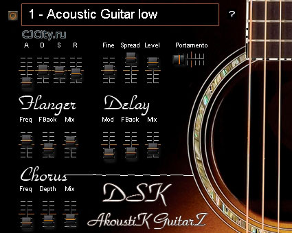 Скачать DSK AkoustiK GuitarZ