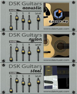 Скачать DSK Music Guitars Series